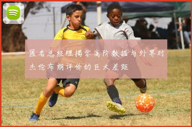 匿名总经理揭示高阶数据与外界对杰伦布朗评价的巨大差距